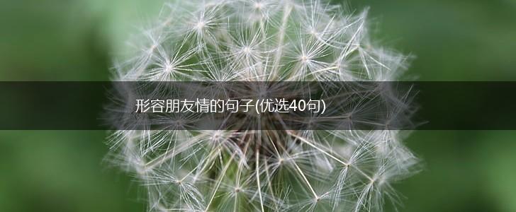 形容朋友情的句子(优选40句),第1张