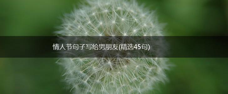 情人节句子写给男朋友(精选45句),第1张