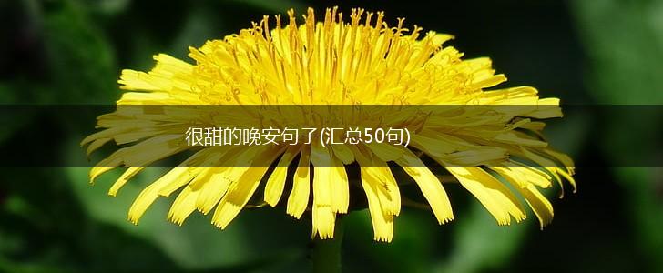 很甜的晚安句子(汇总50句),第1张