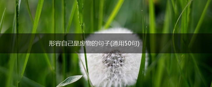 形容自己是废物的句子(通用50句),第1张