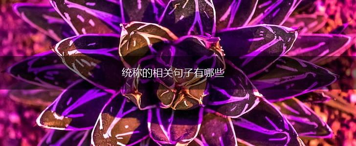 统称的相关句子有哪些,第1张 统称的相关句子有哪些,第1张