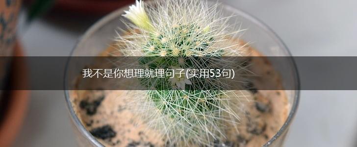 我不是你想理就理句子(实用53句),第1张