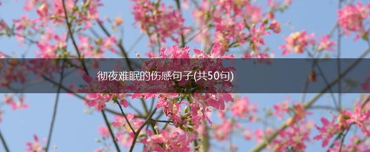 彻夜难眠的伤感句子(共50句),第1张