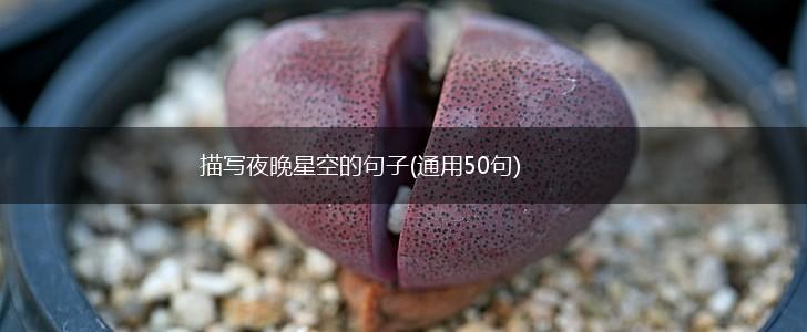 描写夜晚星空的句子(通用50句),第1张