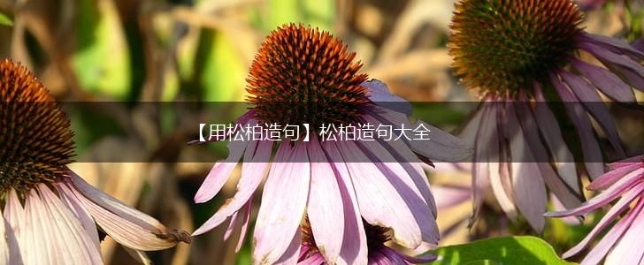 【用松柏造句】松柏造句大全,第1张 【用松柏造句】松柏造句大全,第1张