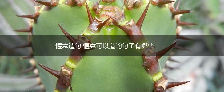 惬意造句 惬意可以造的句子有哪些,第1张