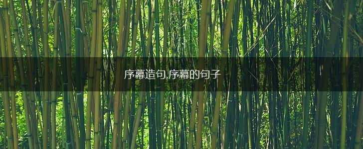 序幕造句,序幕的句子,第1张 序幕造句,序幕的句子,第1张