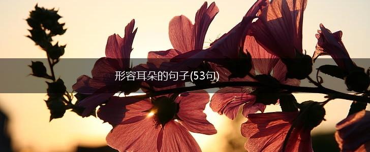 形容耳朵的句子(53句),第1张