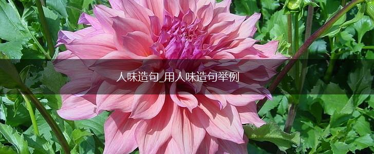 人味造句_用人味造句举例,第1张