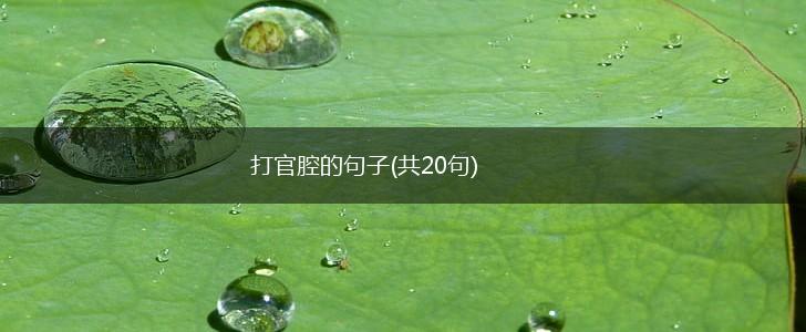 打官腔的句子(共20句),第1张