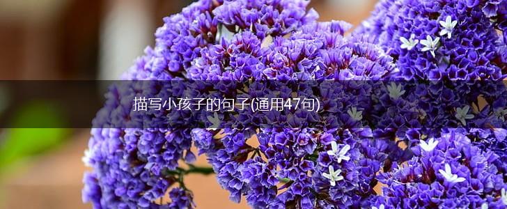 描写小孩子的句子(通用47句),第1张