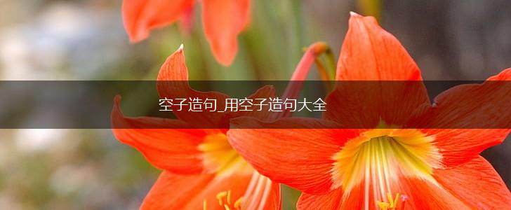 空子造句_用空子造句大全,第1张 空子造句_用空子造句大全,第1张