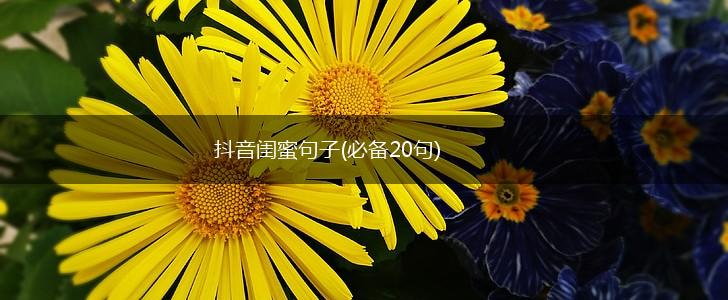 抖音闺蜜句子(必备20句),第1张