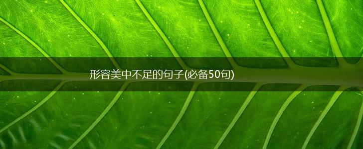 形容美中不足的句子(必备50句),第1张