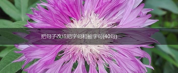把句子改成把字句和被字句(40句),第1张