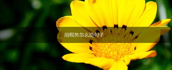 用税务怎么造句子,第1张 用税务怎么造句子,第1张