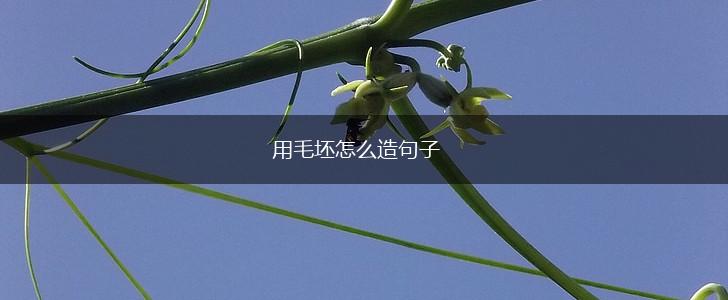 用毛坯怎么造句子,第1张 用毛坯怎么造句子,第1张