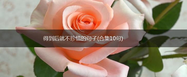 得到后就不珍惜的句子(合集10句),第1张