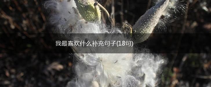 我最喜欢什么补充句子(18句),第1张