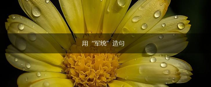 用“军统”造句,第1张 用“军统”造句,第1张