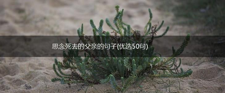 思念死去的父亲的句子(优选50句),第1张