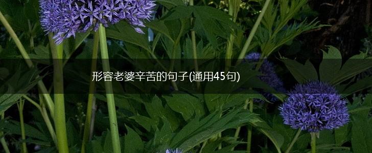 形容老婆辛苦的句子(通用45句),第1张