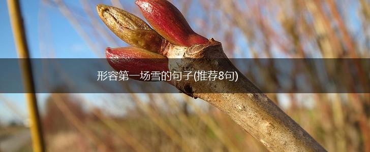 形容第一场雪的句子(推荐8句),第1张