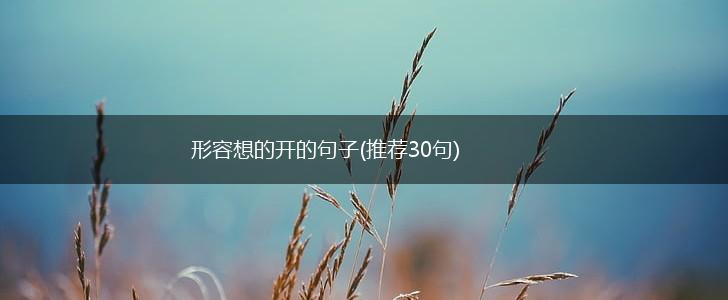 形容想的开的句子(推荐30句),第1张