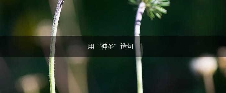 用“神圣”造句,第1张 用“神圣”造句,第1张