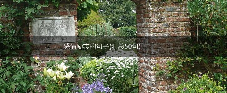 感情励志的句子(汇总50句),第1张