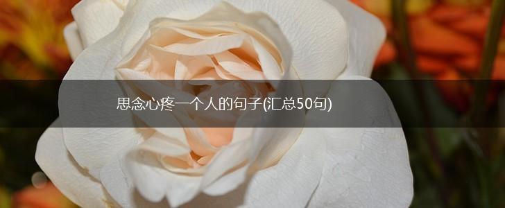 思念心疼一个人的句子(汇总50句),第1张