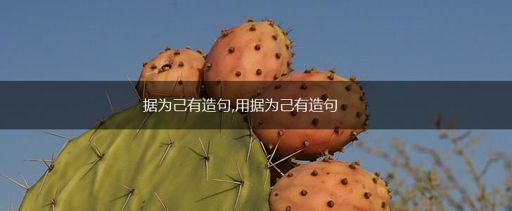 据为己有造句,用据为己有造句,第1张 据为己有造句,用据为己有造句,第1张