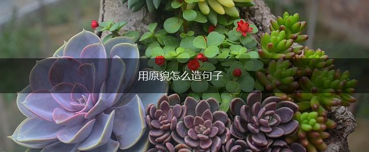 用原貌怎么造句子,第1张 用原貌怎么造句子,第1张