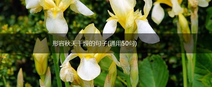形容秋天干燥的句子(通用50句),第1张