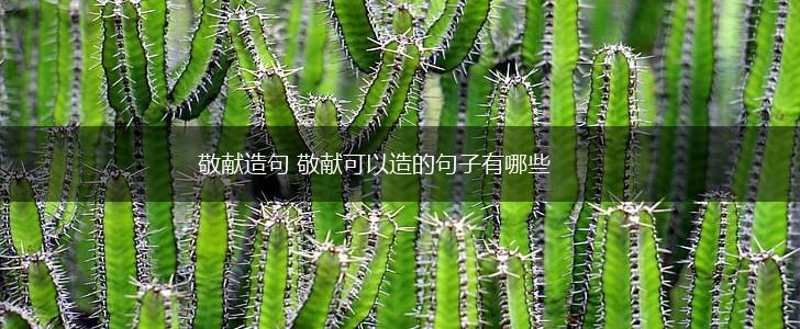 敬献造句 敬献可以造的句子有哪些,第1张 敬献造句 敬献可以造的句子有哪些,第1张