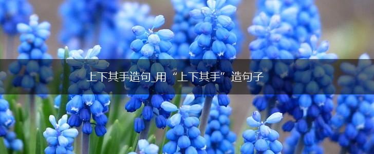上下其手造句_用“上下其手”造句子,第1张 上下其手造句_用“上下其手”造句子,第1张