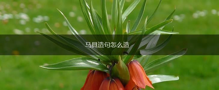 马具造句怎么造,第1张 马具造句怎么造,第1张