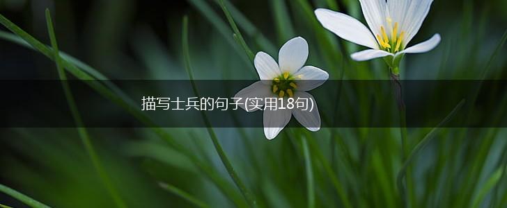 描写士兵的句子(实用18句),第1张