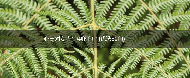 心寒对女人失望的句子(优选50句),第1张