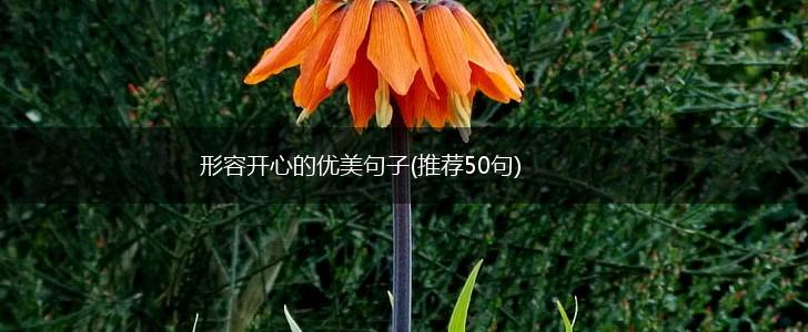 形容开心的优美句子(推荐50句),第1张