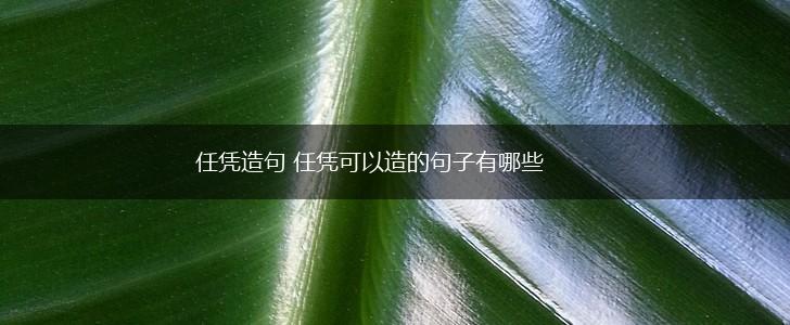 任凭造句 任凭可以造的句子有哪些,第1张 任凭造句 任凭可以造的句子有哪些,第1张