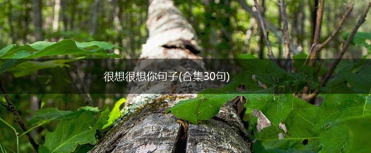 很想很想你句子(合集30句),第1张