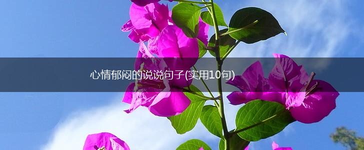 心情郁闷的说说句子(实用10句),第1张