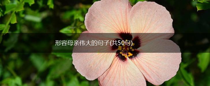 形容母亲伟大的句子(共50句),第1张