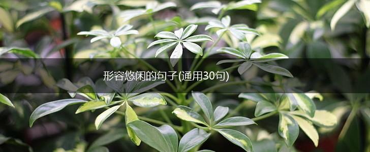形容悠闲的句子(通用30句),第1张