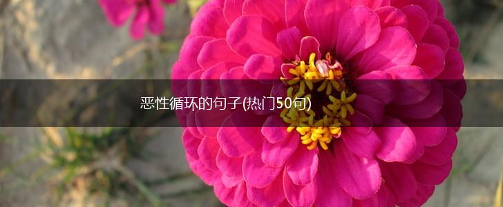恶性循环的句子(热门50句),第1张