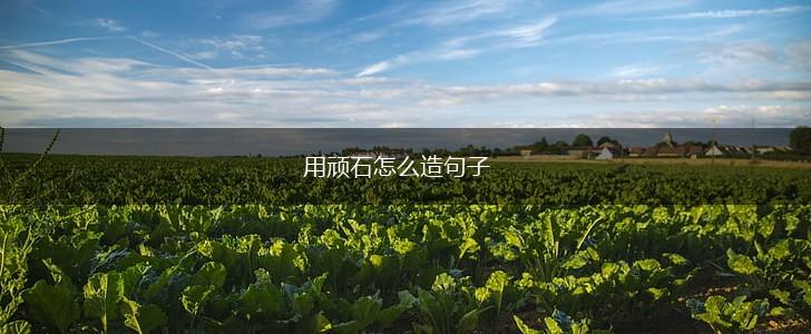 用顽石怎么造句子,第1张 用顽石怎么造句子,第1张