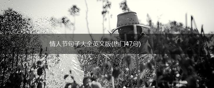 情人节句子大全英文版(热门47句),第1张