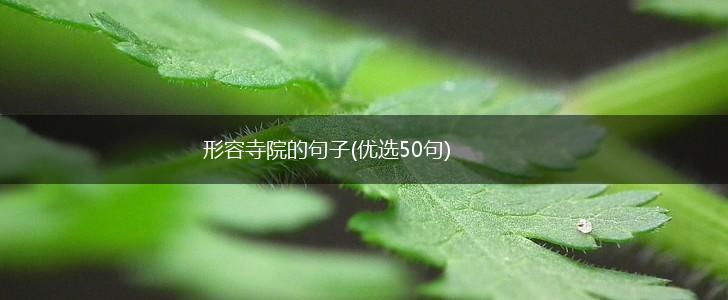 形容寺院的句子(优选50句),第1张