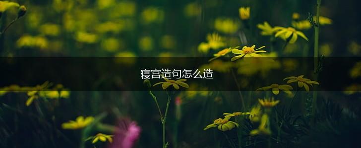 寝宫造句怎么造,第1张 寝宫造句怎么造,第1张
